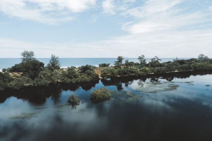 Vista aérea de un islote tropical con manglares en el Pacífico, similar al descubierto en Fiyi
