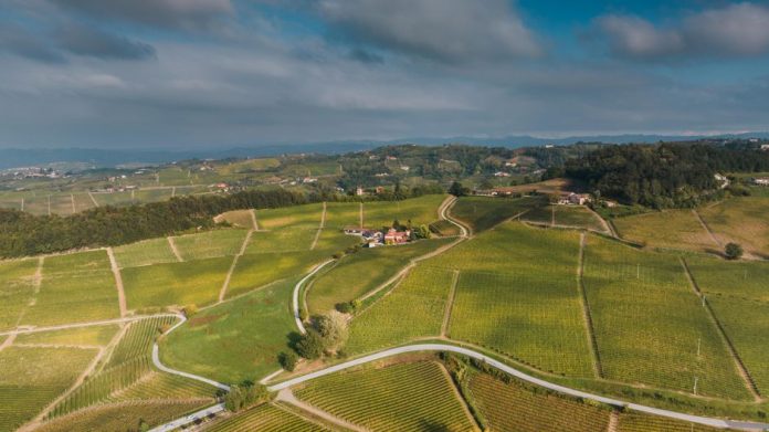Paisaje de colinas verdes y viñedos, representando turismo sostenible y autenticidad territorial